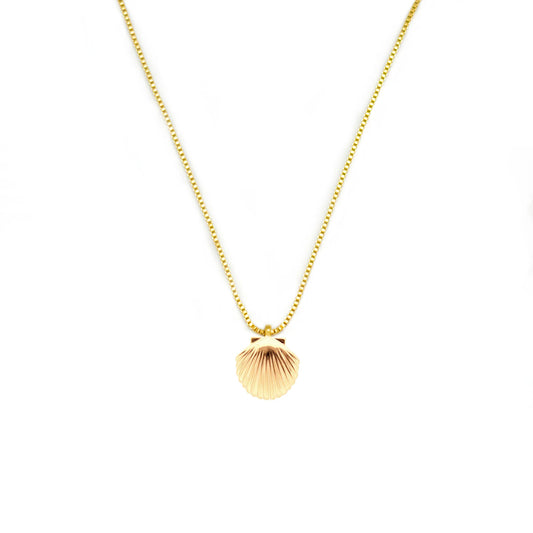 Beachy Shell Necklace