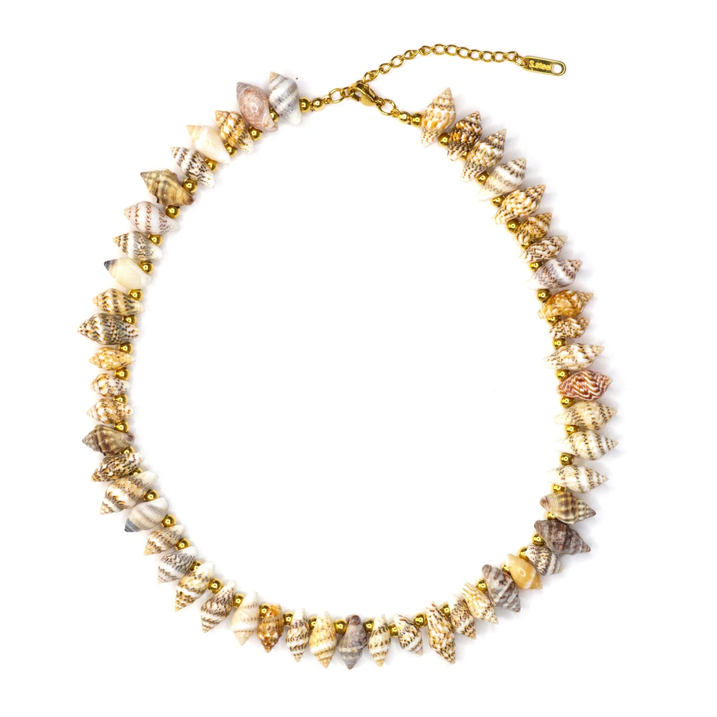Seashells Necklace